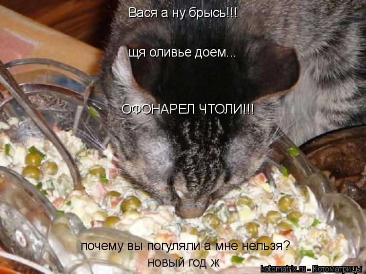 Вася а ну брысь!!! щя оливье доем... ОФОНАРЕЛ ЧТОЛИ!!! почему вы погуляли а мне нельзя? новый год ж... Котоматрица: Вася а ну брысь!!! щя оливье доем... ОФОНАРЕЛ ЧТОЛИ!!! почему вы погуляли а мне нельзя? новый год ж