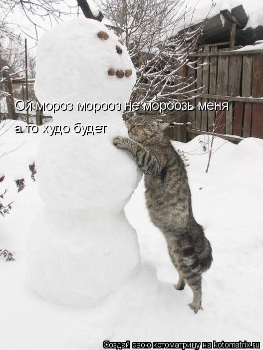 Ой мороз морооз не мороозь меня а то худо будет... Котоматрица: Ой мороз морооз не мороозь меня а то худо будет