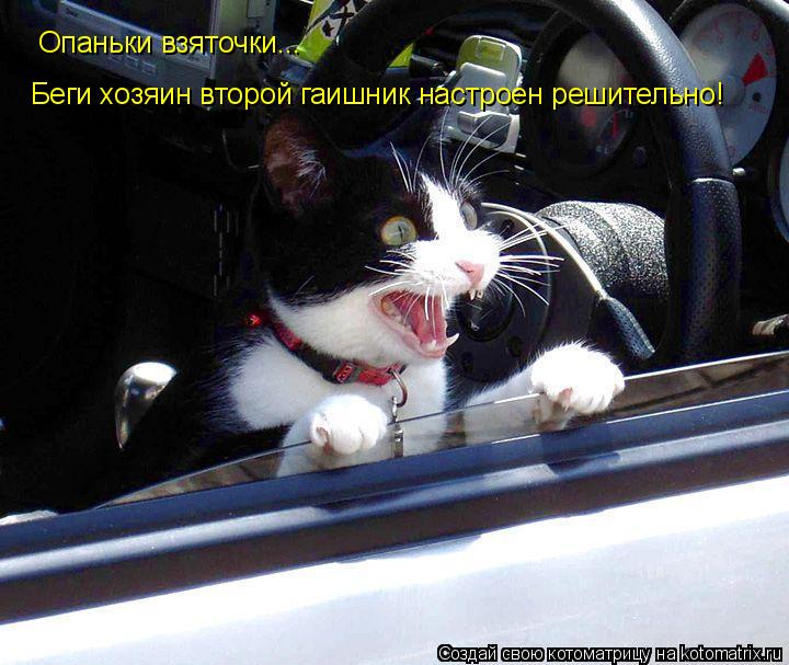 Опаньки взяточки... Беги хозяин второй гаишник настроен решительно!... Котоматрица: Опаньки взяточки... Беги хозяин второй гаишник настроен решительно!