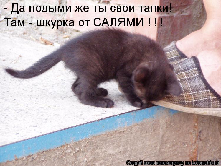 Котоматрица: - Да подыми же ты свои тапки! Там - шкурка от САЛЯМИ ! ! !
