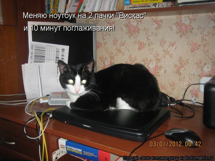 Котоматрица: Меняю ноутбук на 2 пачки "Вискас" и 10 минут поглаживания!