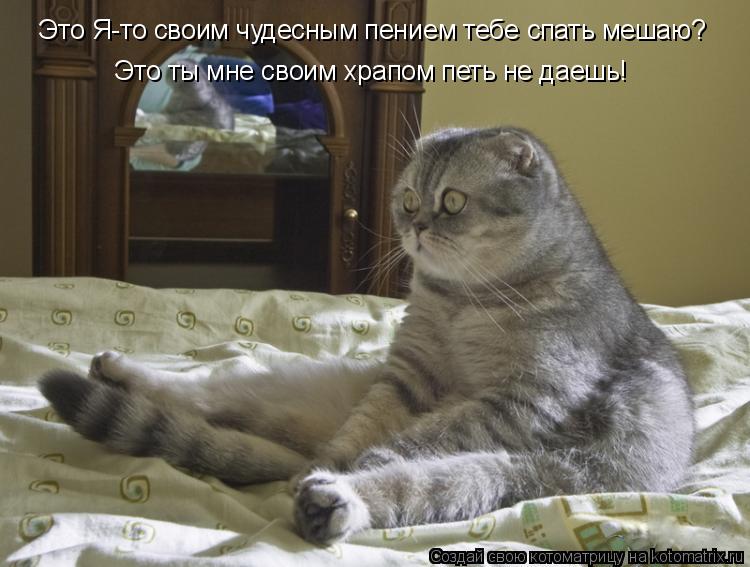 Котоматрица: Это Я-то своим чудесным пением тебе спать мешаю? Это ты мне своим храпом петь не даешь!