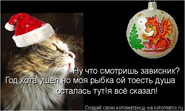 Котоматрица: Ну что смотришь зависник? Год кота ушёл,но моя рыбка ой тоесть душа осталась тут!я всё сказал!