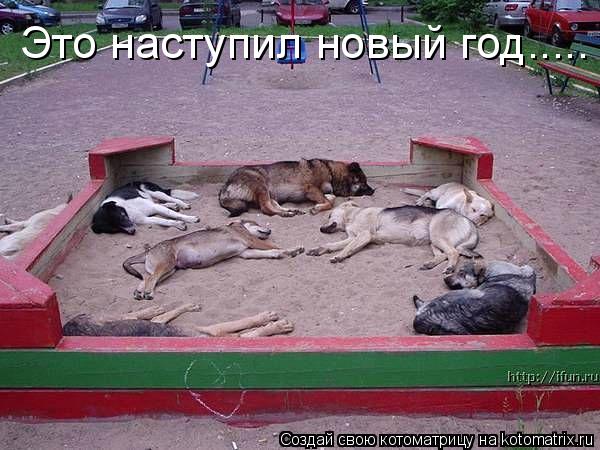 Котоматрица: Это наступил новый год.....
