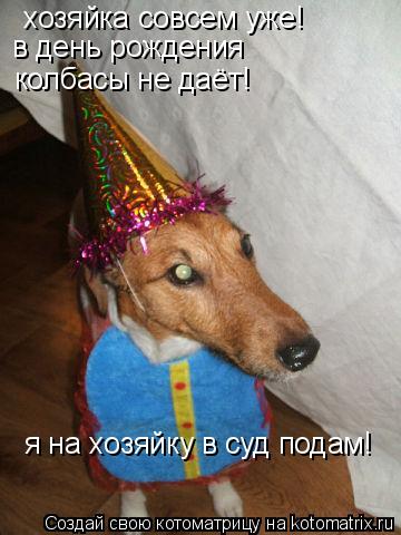 Котоматрица: хозяйка совсем уже! в день рождения  колбасы не даёт! я на хозяйку в суд подам!