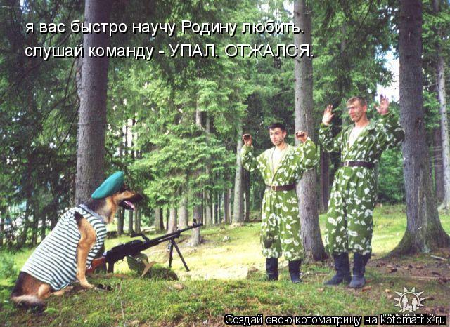 Котоматрица: я вас быстро научу Родину любить. я вас быстро научу Родину любить. слушай команду - УПАЛ. ОТЖАЛСЯ.