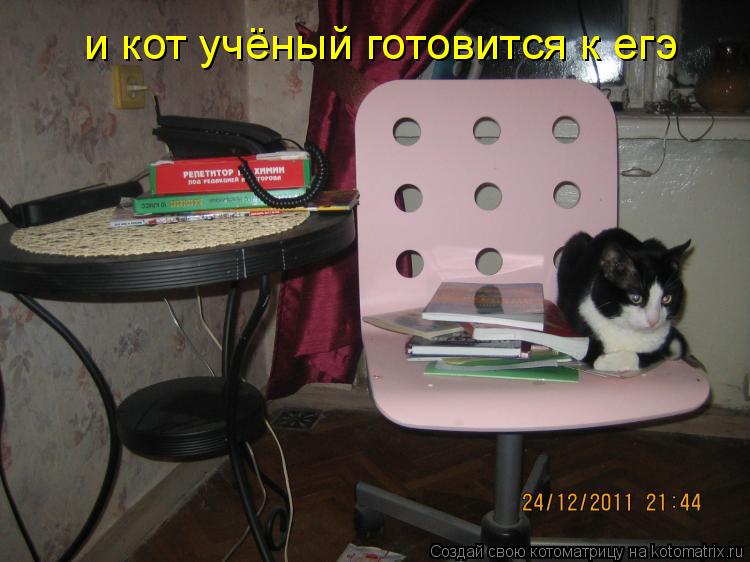 Котоматрица: и кот учёный готовится к егэ