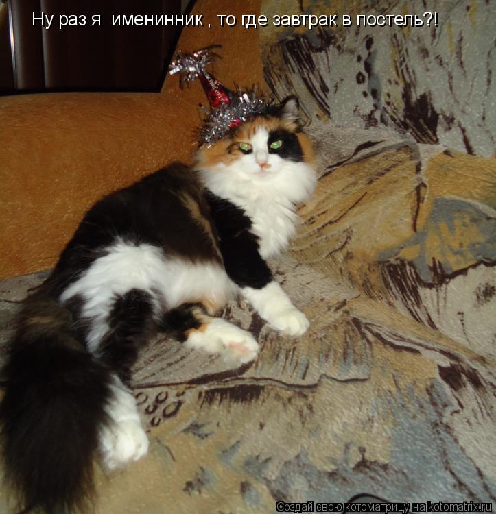 Котоматрица: Ну раз я  именинник , то где завтрак в постель?!