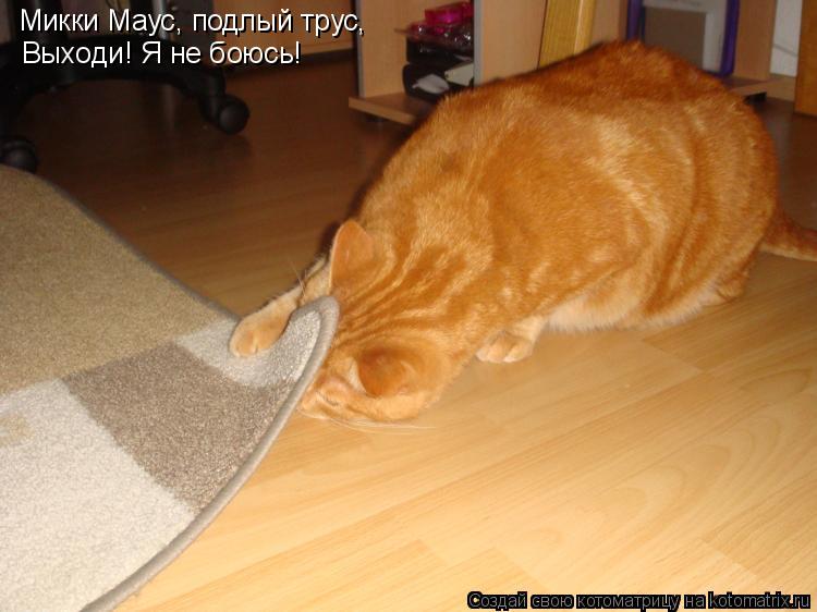 Котоматрица: Микки Маус, подлый трус, Выходи! Я не боюсь!