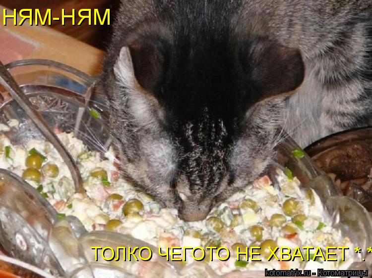 Котоматрица: НЯМ-НЯМ   ТОЛКО ЧЕГОТО НЕ ХВАТАЕТ *.* ТОЛКО ЧЕГОТО НЕ ХВАТАЕТ *.*