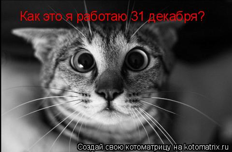 Котоматрица: Как это я работаю 31 декабря?