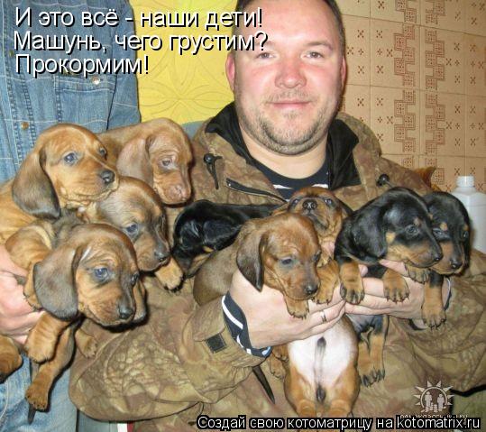 Котоматрица: И это всё - наши дети! Машунь, чего грустим? Прокормим!
