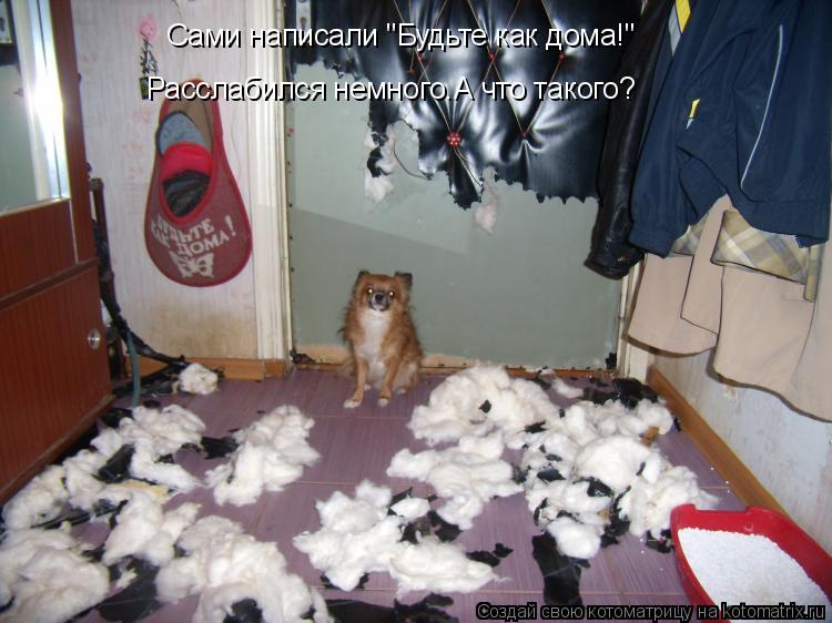 Сами написали "Будьте как дома!" Расслабился немного.А что такого?... Котоматрица: Сами написали "Будьте как дома!" Расслабился немного.А что такого?