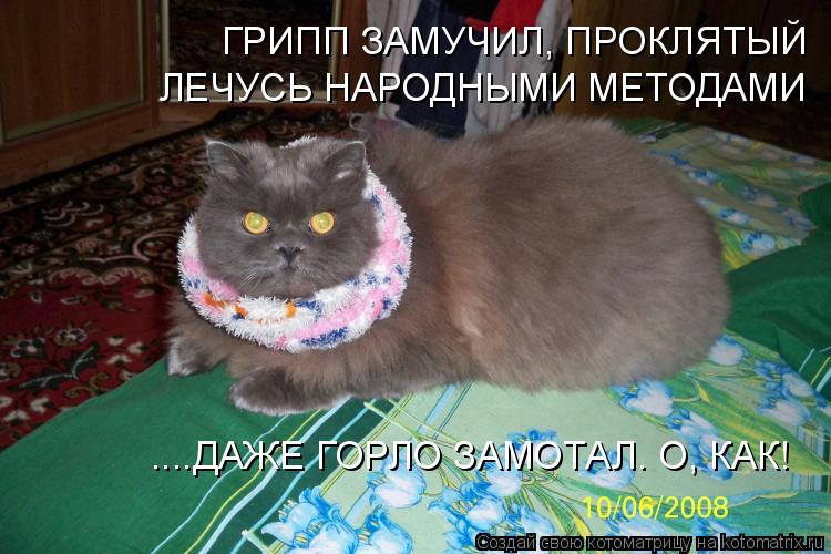 ГРИПП ЗАМУЧИЛ, ПРОКЛЯТЫЙ ЛЕЧУСЬ НАРОДНЫМИ МЕТОДАМИ ....ДАЖЕ ГОРЛО ЗАМОТАЛ. О, КАК!... Котоматрица: ГРИПП ЗАМУЧИЛ, ПРОКЛЯТЫЙ ЛЕЧУСЬ НАРОДНЫМИ МЕТОДАМИ ....ДАЖЕ ГОРЛО ЗАМОТАЛ. О, КАК!