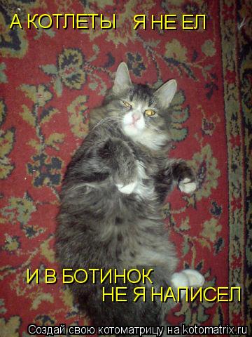 А КОТЛЕТЫ Я НЕ ЕЛ И В БОТИНОК НЕ Я НАПИСЕЛ... Котоматрица: А КОТЛЕТЫ Я НЕ ЕЛ И В БОТИНОК НЕ Я НАПИСЕЛ