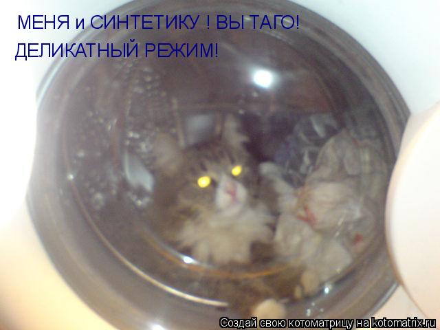 МЕНЯ и СИНТЕТИКУ ! ВЫ ТАГО! ДЕЛИКАТНЫЙ РЕЖИМ!... Котоматрица: МЕНЯ и СИНТЕТИКУ ! ВЫ ТАГО! ДЕЛИКАТНЫЙ РЕЖИМ!
