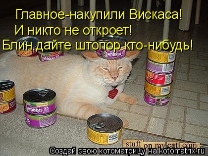 Котоматрица: Главное-накупили Вискаса! И никто не откроет! Блин,дайте штопор кто-нибудь!
