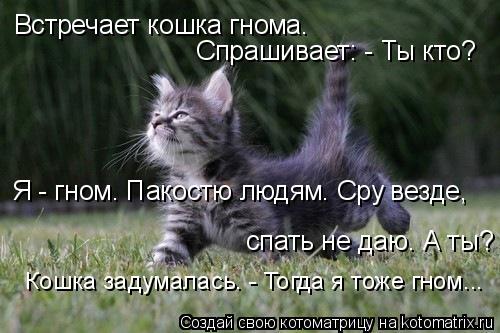 Котоматрица: Встречает кошка гнома.   Спрашивает: - Ты кто?  Я - гном. Пакостю людям. Сру везде,  спать не даю. А ты?   Кошка задумалась. - Тогда я тоже гном...