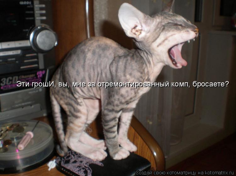 Котоматрица: Эти грошИ, вы, мне за отремонтированный комп, бросаете?