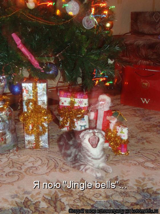 Котоматрица: Я пою "Jingle bells"...