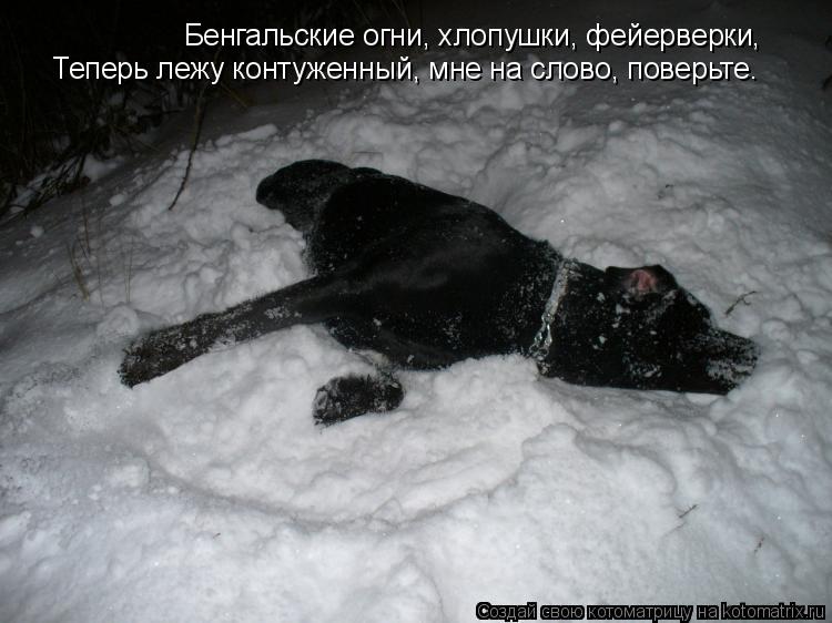 Котоматрица: Бенгальские огни, хлопушки, фейерверки, Теперь лежу контуженный, мне на слово, поверьте.