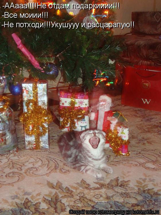 Котоматрица: -ААааа!!!!Не отдам подаркииии!!! -Все моиии!!! -Не потходи!!!Укушууу и расцарапую!!