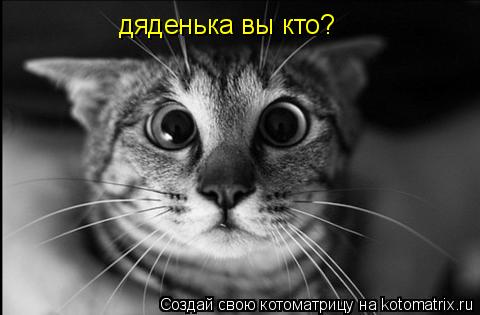 Котоматрица: дяденька вы кто?