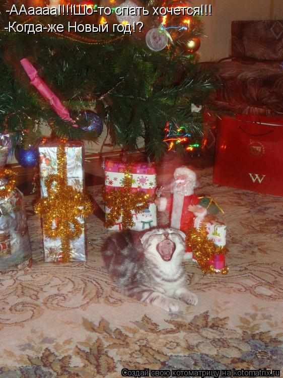 Котоматрица: -ААаааа -ААаааа!!!!Шо-то спать хочется!!!  -Когда-же Новый год!?