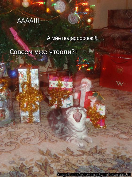 Котоматрица: АААА!!! А мне подарооооок!!! Совсем уже чтооли?!