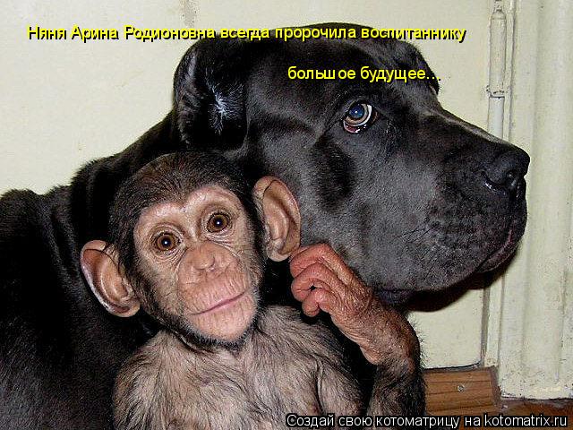 Няня Арина Родионовна всегда пророчила воспитаннику большое будущее...... Котоматрица: Няня Арина Родионовна всегда пророчила воспитаннику большое будущее...