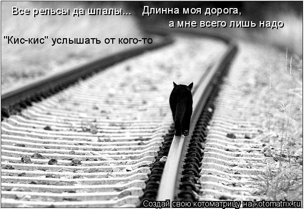 Котоматрица: Все рельсы да шпалы... Длинна моя дорога, а мне всего лишь надо "Кис-кис" услышать от кого-то