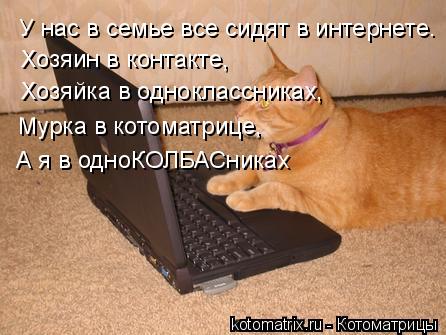 Котоматрица: У нас в семье все сидят в интернете. Хозяин в контакте, Хозяйка в одноклассниках, Мурка в котоматрице, А я в одноКОЛБАСниках
