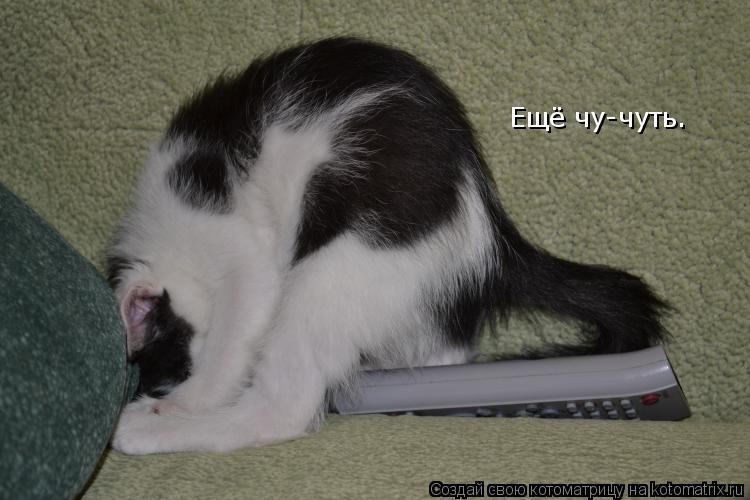 Котоматрица: Ещё чу-чуть…