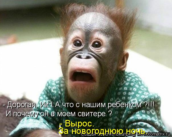 Котоматрица: - Дорогая, Ик ! А что с нашим ребенком ?!!! И почему он в моем свитере ? - Вырос. За новогоднюю ночь.