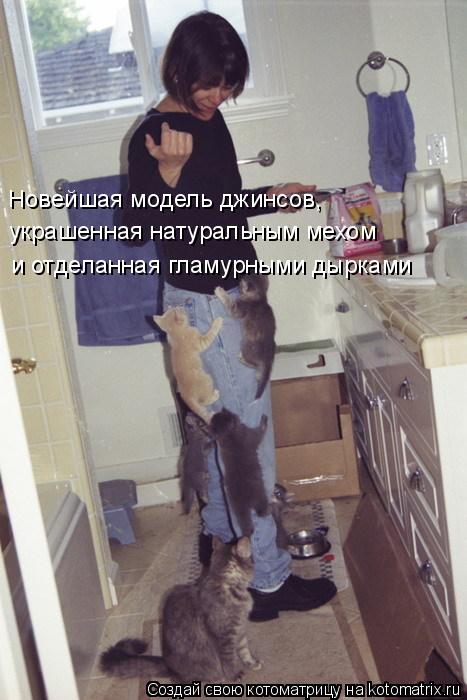 Котоматрица: Новейшая модель джинсов, украшенная натуральным мехом и отделанная гламурными дырками