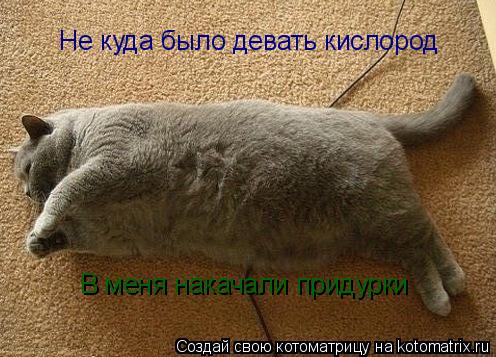 Котоматрица: Не куда было девать кислород В меня накачали придурки