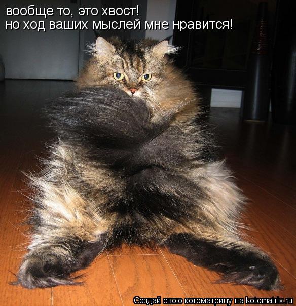 Котоматрица: вообще то, это хвост! но ход ваших мыслей мне нравится!