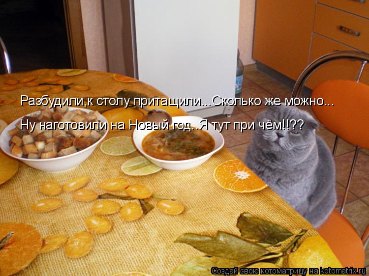 Котоматрица: Разбудили,к столу притащили...Сколько же можно... Ну наготовили на Новый год..Я тут при чём!!??