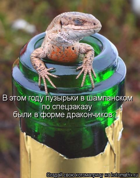Котоматрица: В этом году пузырьки в шампанском по спецзаказу были в форме дракончиков.