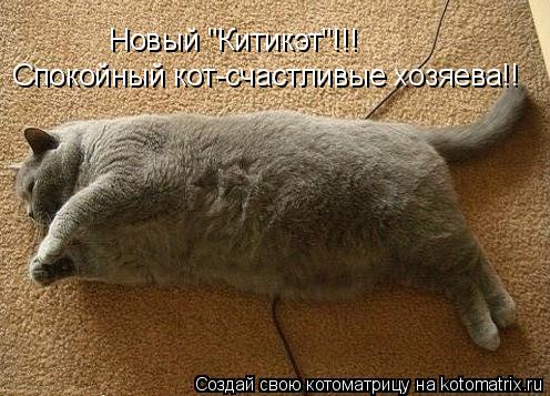 Котоматрица: Новый "Китикэт"!!! Спокойный кот-счастливые хозяева!!