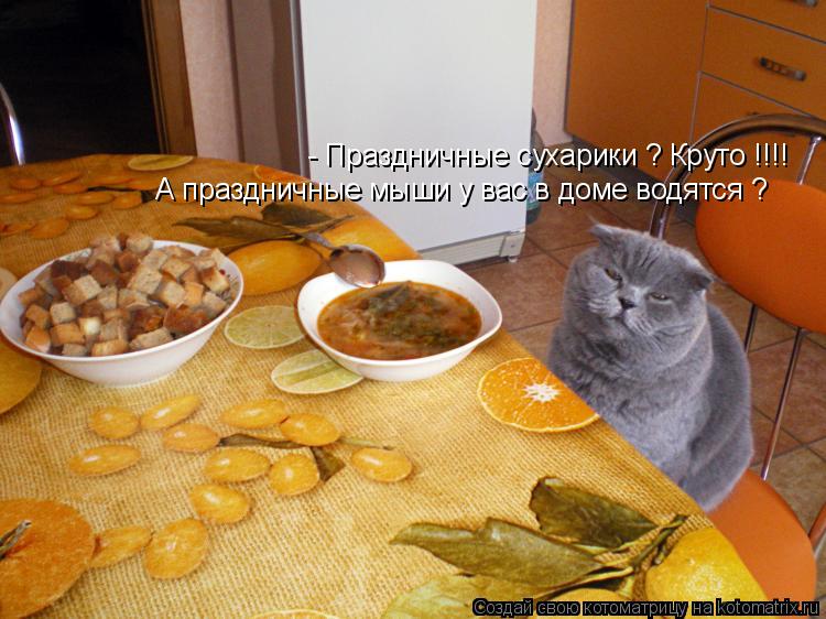 Котоматрица: - Праздничные сухарики ? Круто !!!! А праздничные мыши у вас в доме водятся ?