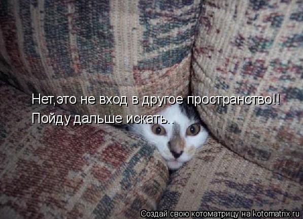 Котоматрица: Нет,это не вход в другое пространство!! Пойду дальше искать..