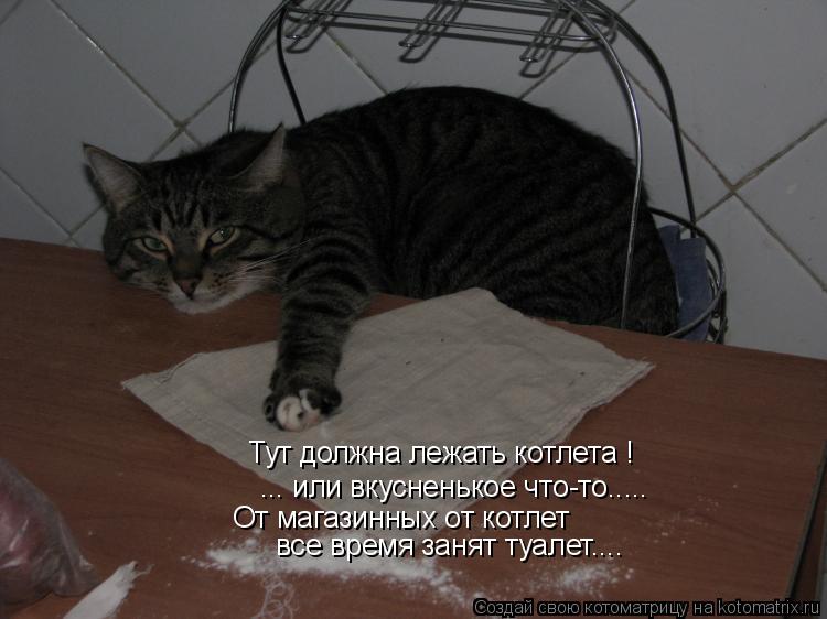 Котоматрица: Тут должна лежать котлета ! ... или вкусненькое что-то..... От магазинных от котлет все время занят туалет....