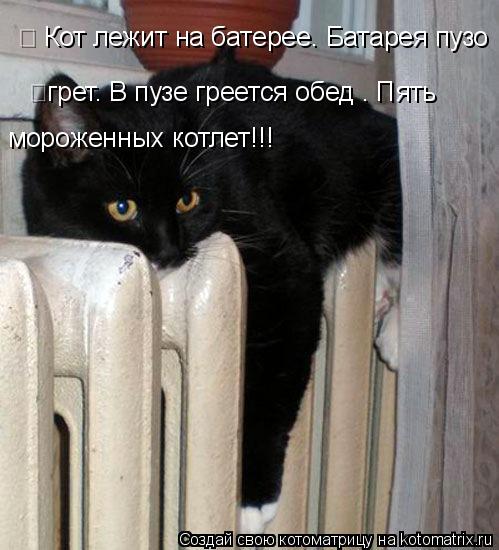 Котоматрица: Кот лежит на батерее. Батарея пузо  	грет. В пузе греется обед – Пять  мороженных котлет!!!