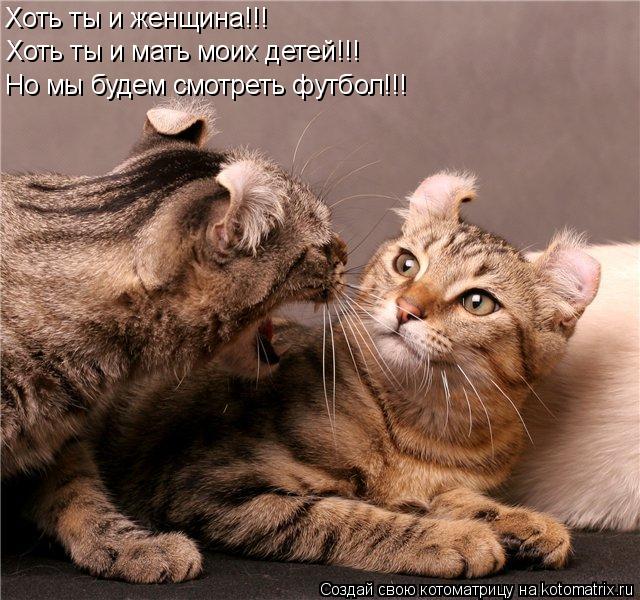 Котоматрица: Хоть ты и женщина!!! Хоть ты и мать моих детей!!! Но мы будем смотреть футбол!!!