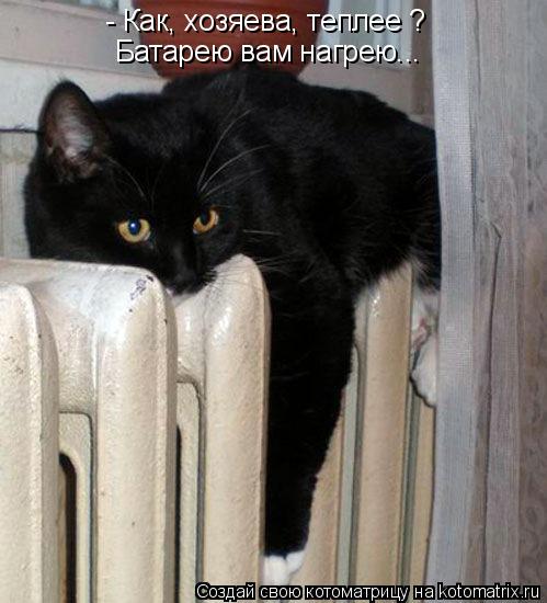 Котоматрица: - Как, хозяева, теплее ? Батарею вам нагрею...