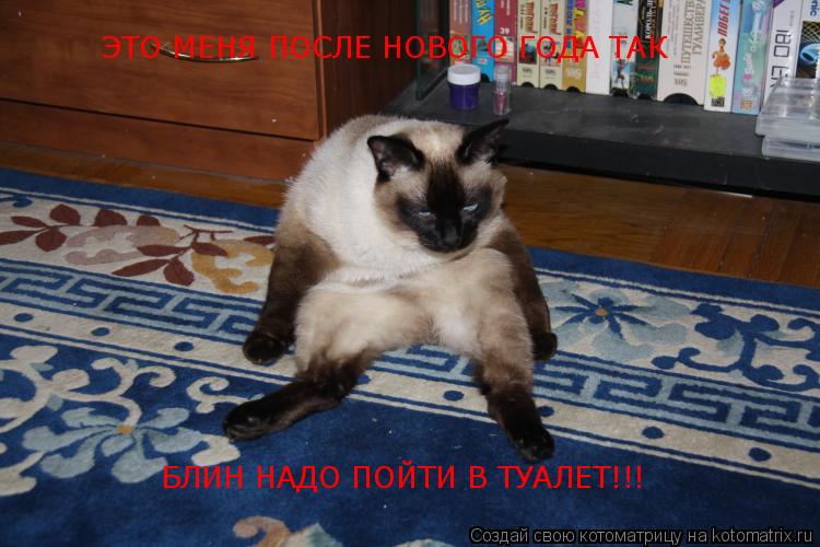 Котоматрица: ЭТО МЕНЯ ПОСЛЕ НОВОГО ГОДА ТАК БЛИН НАДО ПОЙТИ В ТУАЛЕТ!!! БЛИН НАДО ПОЙТИ В ТУАЛЕТ!!!