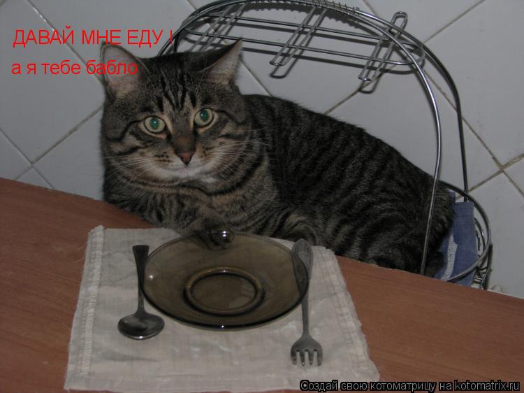 Котоматрица: ДАВАЙ МНЕ ЕДУ ! а я тебе бабло