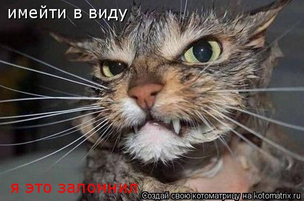 Котоматрица: имейти в виду я это запомнил
