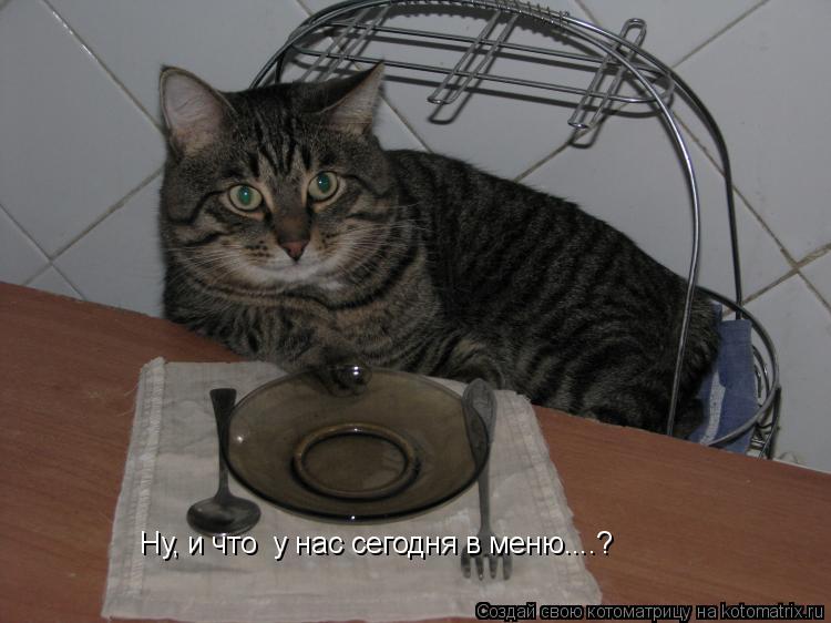 Котоматрица: Ну, и что  у нас сегодня в меню....?